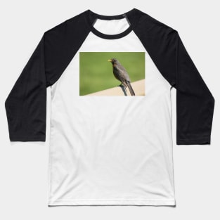 I'm Sexy And You Know It Baseball T-Shirt